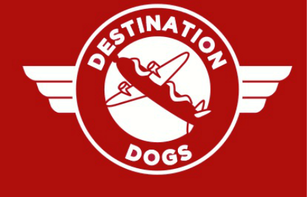 destination dogs
