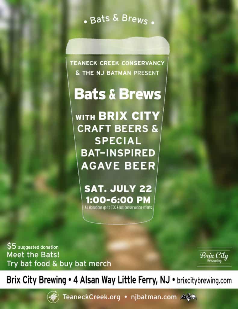 Bats and Brews at Brix City NJCB Your resource for beer in New Jersey