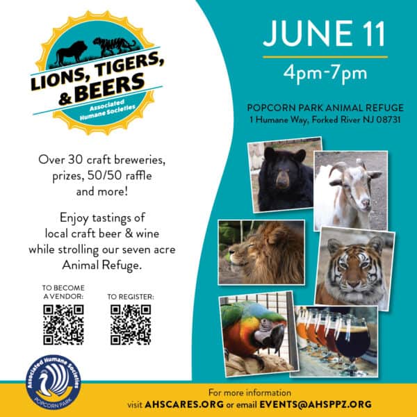 Lions, Tigers, and Beers | NJCB | Your resource for beer in New Jersey